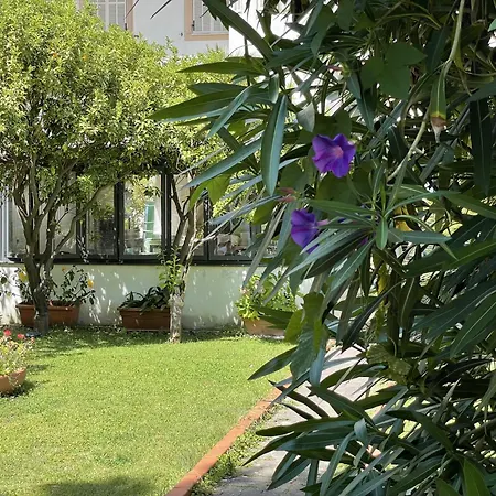 Rosalia Hotel Bordighera